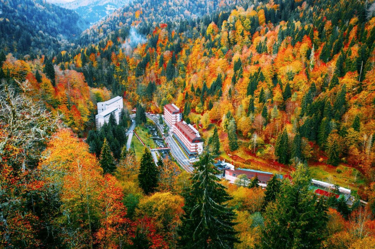 Sairme Hotels & Resorts Екстериор снимка